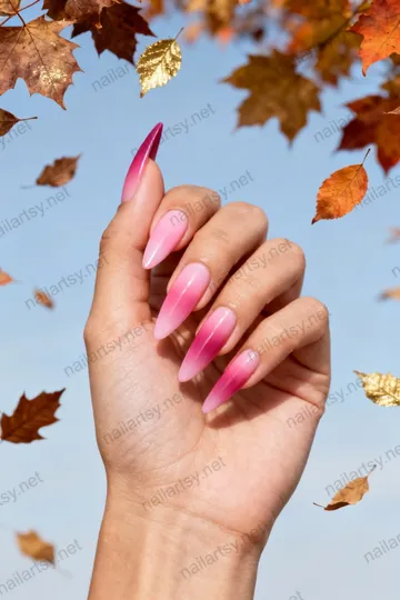Dip Powder Nail Design #233 Image